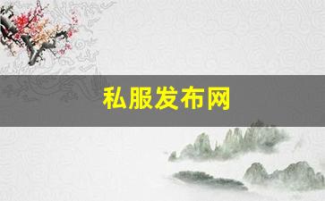 私服发布网(手游私sf平台) (6)