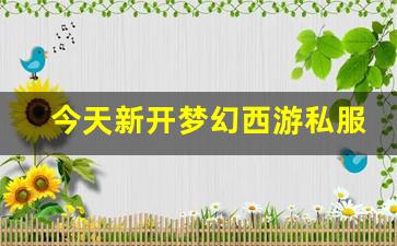 梦幻西游首页：今天新开梦幻西游私服 (1