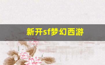 私服客户端：新开sf梦幻西游 (11)