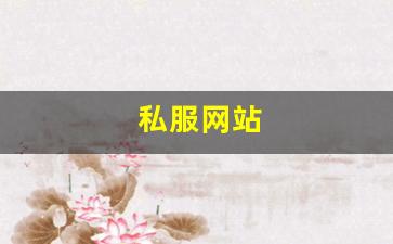 梦幻西游私网：私服网站(传奇新开服网站大