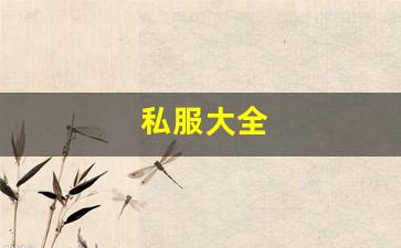 梦幻西游新开sf：私服大全 (2)