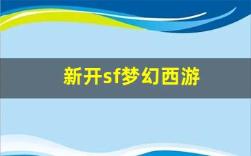 新开sf梦幻西游 (17)