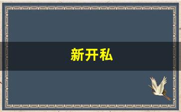 新开私(新开私人影院) (3)