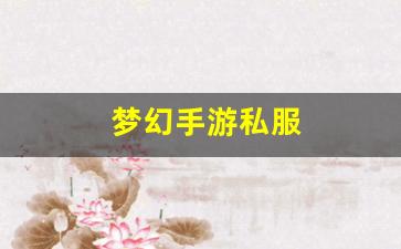 梦幻手游私服(梦幻西游手游开服表)