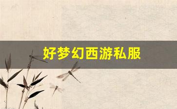 好梦幻西游私服(梦幻西游手游)