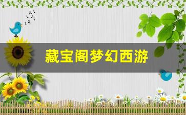 梦幻私服：藏宝阁梦幻西游(藏宝阁梦幻西游