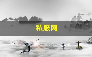私服网(手游私sf平台) (19)