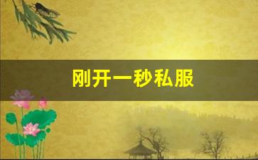 刚开一秒私服(刚开一秒单职业传奇sf) 