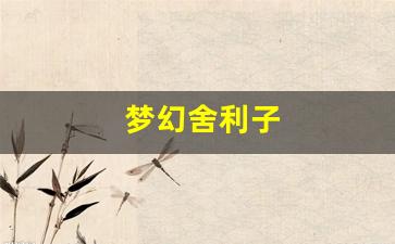 梦幻西游工具箱：梦幻舍利子(梦幻舍利子多
