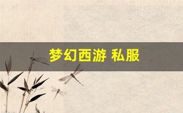 梦幻西游 私服(梦幻西游sf发布网) (