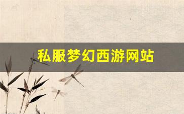 梦幻西游私发网：私服梦幻西游网站 (13