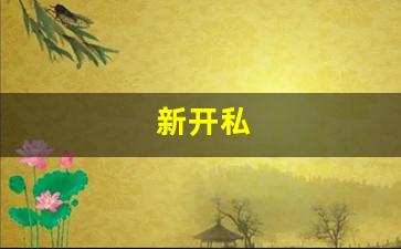 私服梦幻西游网站：新开私(新开私立医院一
