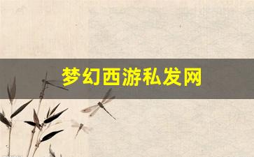 新梦幻西游私服：梦幻西游私发网(梦幻西游
