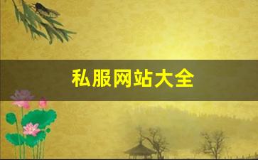 新开sf：私服网站大全 (17)